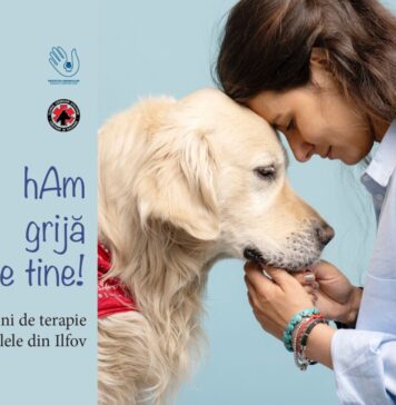 Premieră: Câini de terapie în spitalele din Ilfov