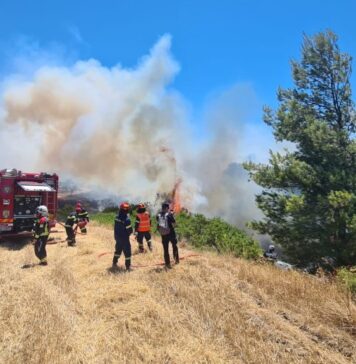 Pompierii din România vor merge și în această vară în Grecia pentru a combate incendiile de vegetație