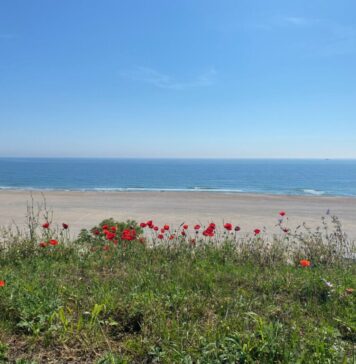 ANAT avertizează: lărgirea plajelor este binevenită, dar nu în plin sezon estival!