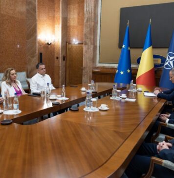 Elena Lasconi, după consultările de la Guvern: Noi am fost fermi, am spus respectarea legii şi alegeri la termen