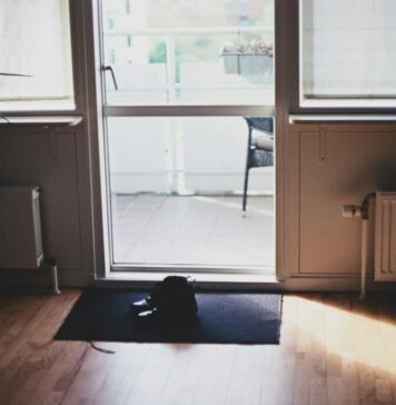 Nicușor Dan vorbește despre pomparea apei reci în calorifere în timpul verii, pentru a răci apartamentele