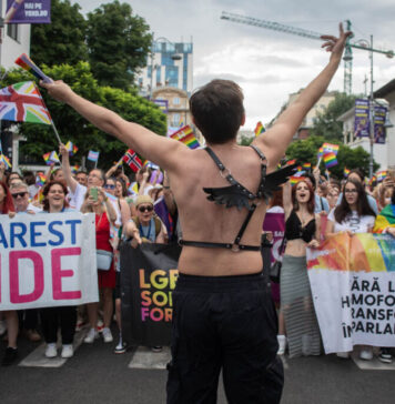 Europarlamentarul Diana Şoşoacă: „La presiunea ambasadelor străine, în România nu se mai aplică legea română și creștină, ci legea perversiunilor sexuale și pervertirii sexuale a minților minorilor, ceea ce înseamnă că România nu mai este stat suveran, iar aceste fapte reprezintă un atac grav la fundamentul creștin și moral al societății românești; mii de homosexuali străini au fost aduşi ca să defileze la Bucureşti”