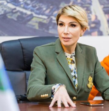 Liberal Turcan: I find it very strange that PM holds negotiations on calendar for the presidential election