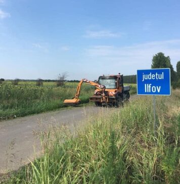 Consiliul Județean Ilfov, amplă campanie de combatere și eliminare a ambroziei. Zonele unde s-a intervenit