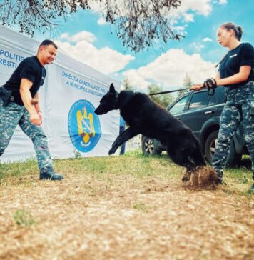 Poliția Capitalei, mesaj de Ziua Internațională a Câinelui: ”Sărbătorim eroii patrupezi și prietenii de nădejde”