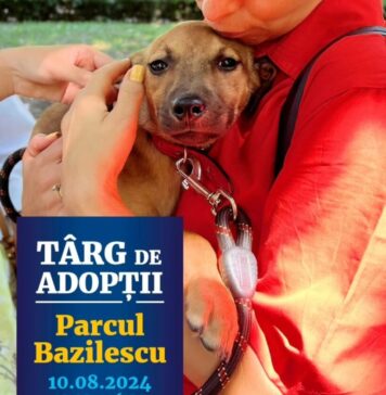 ASPA organizează sâmbătă un nou târg de adopții pentru căței