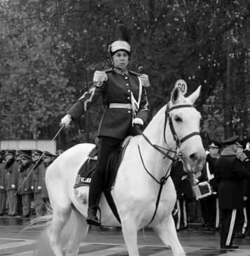 Rita a părăsit suita de cai a Jandarmeriei Române