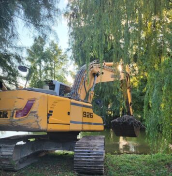 Lacul Tineretului, decolmatat