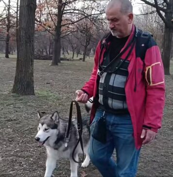 Nicușor Dan: Ședință de dresaj gratuită pentru adoptatorii târgurilor ASPA