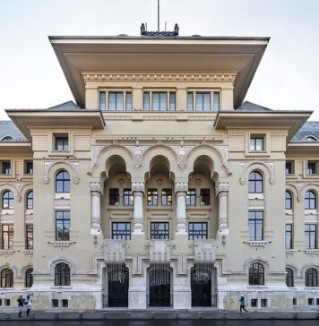 Primăria Capitalei lansează o nouă sesiune de finanțări nerambursabile de la bugetul local pentru proiecte ce vizează protecția mediului și animalelor