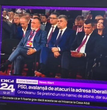 Gigel Știrbu (PNL): Asta e imaginea cea mai expresivă de la congresul PSD! Un cetățean care nu poate să explice cum și-a definitivat studiile, flancat de alt individ care a transformat stuful din Delta Dunării în pășune