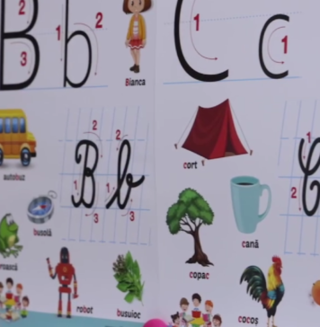 Orientare școlară și profesională pentru copiii din Ilfov / Elevii vor avea parte și de terapie logopedică și de consiliere psihopedagogică