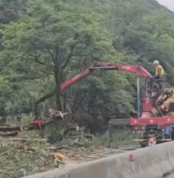 Circulația pe Valea Oltului se redechide de azi