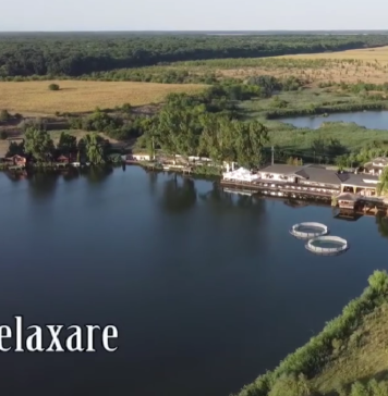 Unde îți poți petrece timpul liber în județul Ilfov