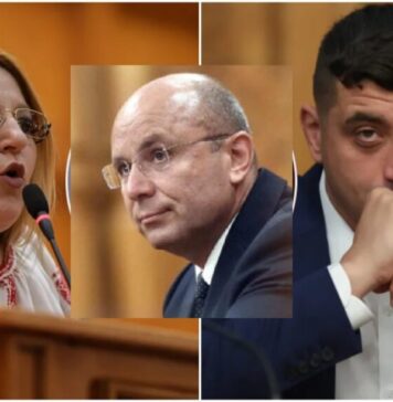 „Cel mai important demers va fi de a atrage în polul suveranist o întreagă constelație de organizații care există și funcționează disparat în România. Numai prin intermediul acestora, suveraniștii vor fi capabili să atragă cea mai mare parte a bazinului electoral, care teoretic le este accesibil, și cu ajutorul cărora ar putea câștiga alegerile”, spune jurnalistul Sorin Roşca Stănescu