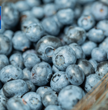 Cinci producători români au exportat în Ungaria şi Polonia afine şi zmeură de aproape un milion de euro