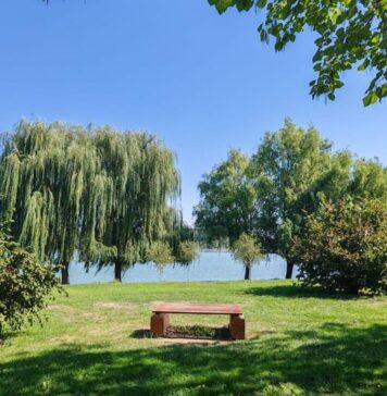 Ce planuri aveți în weekend? CJ Ilfov ne invită în Parcul Dendrologic din Chitila