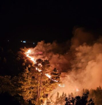 IGSU: Pompierii români participă de 14 ore la stingerea incendiilor din Grecia