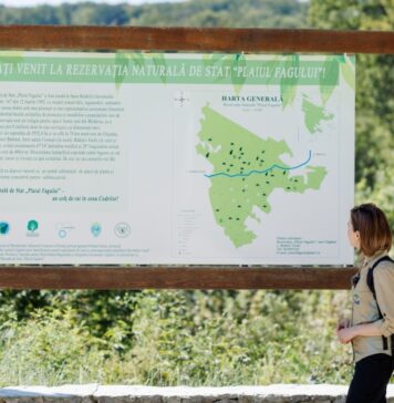 Maia Sandu a participat la semnarea unui acord cu BEI, prin care vor fi investite 200 de milioane de euro în Programul național de împădurire