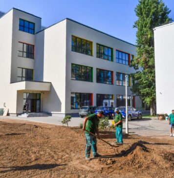 Angajații de la ADPDU Sector 6, prezenți peste tot: în grădini, parcuri, pe străzi și în curțile școlilor