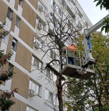 Primăria Sectorului 3 a dat startul curățeniei de toamnă/ Robert Negoiță: „Curățenia sectorului este o responsabilitate comună”