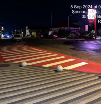 Cristian Popescu Piedone, dispoziție pentru marcarea trecerilor de pietoni din preajma școlilor, grădinițelor și liceelor