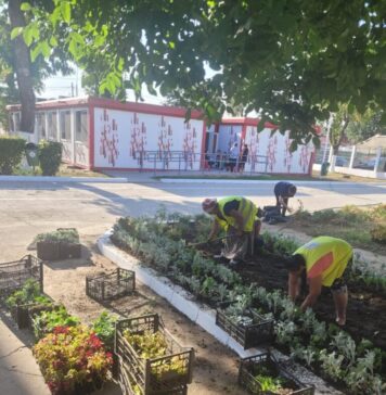 Cristian Popescu Piedone a dispus plantarea a 37.000 de flori în grădinile unităților de învățământ de pe raza sectorului