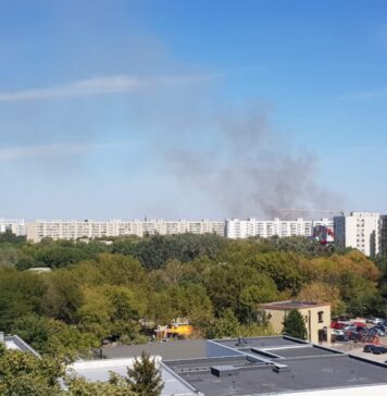 NEWS ALERT Este incendiu de vegetaţie uscată în Parcul IOR