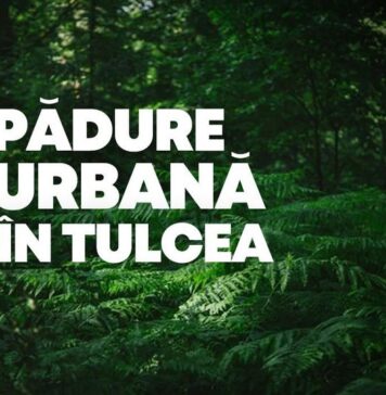 Cea mai mare pădure urbană din România va fi la Tulcea, într-o administrație liberală!