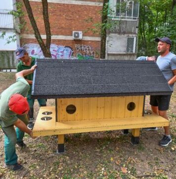 Primăria Sectorului 6 continuă montarea căsuțelor pentru pisici comunitare: „Pisicuțele deja s-au obișnuit, știu că aici primesc mâncare”