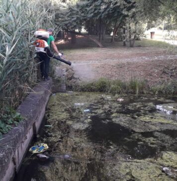 Al 13-lea tratament de combatere a larvelor de țânțari, în zona lacurilor din București