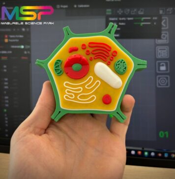 𝗖𝗼𝗻𝗰𝘂𝗿𝘀 𝗱𝗲 𝗠𝗼𝗱𝗲𝗹𝗮𝗿𝗲 𝘀̦𝗶 𝗣𝗿𝗶𝗻𝘁𝗮𝗿𝗲 𝟯𝗗 𝗽𝗲𝗻𝘁𝗿𝘂 𝗲𝗹𝗲𝘃𝗶𝗶 𝗱𝗶𝗻 𝗜𝗹𝗳𝗼𝘃