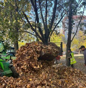 Salubrizare 5: ”Reciclarea continuă să fie prioritară, chiar și în sezonul de toamnă”