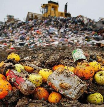 Salubrizare 5, apel la cetățeni pentru respectarea mediului înconjurător: ”Aruncarea resturilor alimentare în natură poate părea inofensivă, dar efectele sale sunt devastatoare!”