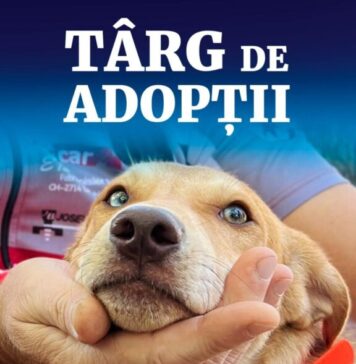Târg de adopții pentru căței, organizat sâmbătă de ASPA, în Parcul Izvor