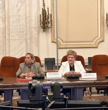 Oana Marciana Ozmen (PNL), în calitate de speaker la dezbaterea „Digitalizarea sistemului energetic – oportunități și provocări”, organizată de Focus Energetic