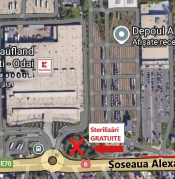 Sterilizări și microcipări GRATUITE pentru câini, în Sectorul 5, pe 28 septembrie