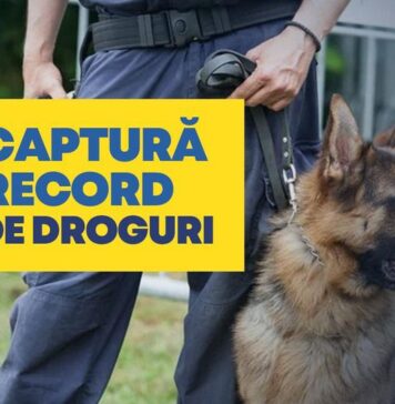 PNL: Planul ministrului liberal, Cătălin Predoiu, de a combate traficul de droguri are rezultate