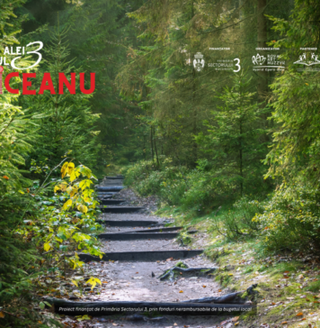 Șapte zile de recitaluri pentru toți locuitorii Sectorului 3