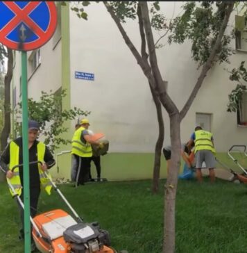 Video/ Grădini de bloc deschise, cu aspect plăcut, în Sectorul 2