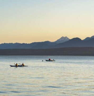 (P) Cum să-ți alegi lanseta în funcție de tipul de pește vizat