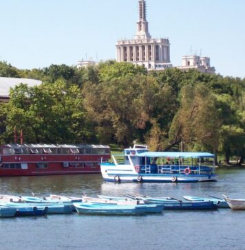 Algele au cotropit Lacul Herăstrău