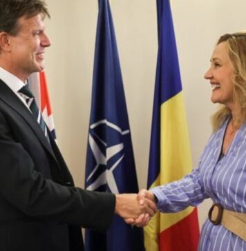 De ce se întâlneşte Elena Lasconi cu ambasadorii?