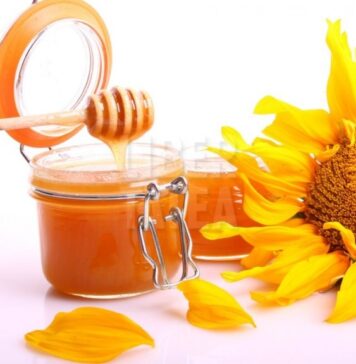 Târgul Naţional al Mierii debutează pe platforma apicolă Băneasa. Peste 100 de apicultori şi-au anunţat prezenţa