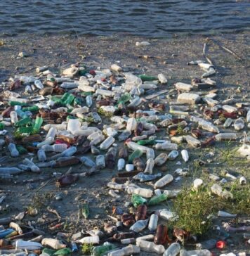 Sanctions, best measure against littering and illegal dumping, believe 60 pct of Romanians (study)