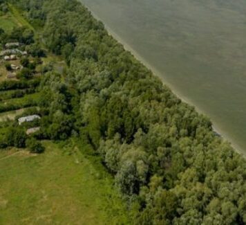 Russian drone fragments, detected near Periprava village, Tulcea county (MApN)