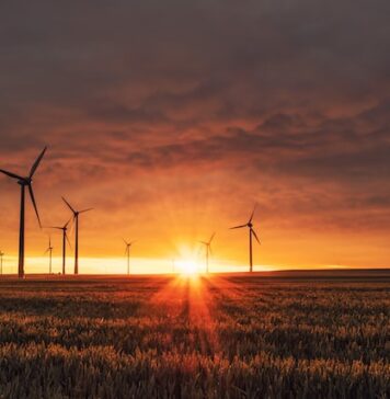 World Bank: Romania can produce more wind energy than it will ever need