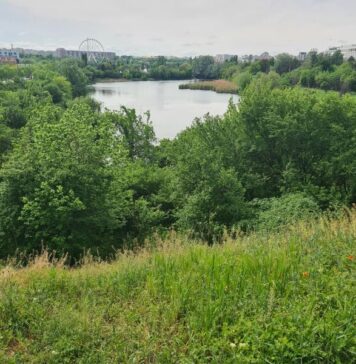 Pajiştea Petricani ar putea deveni arie naturală protejată de interes local