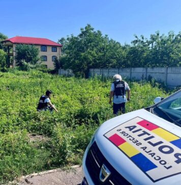 Zeci de cetățeni din Sectorul 6, amendați că nu au tăiat ambrozia