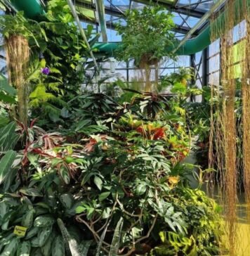 Serele exotice din Parcul Drumul Taberei intră în programul de iarnă!